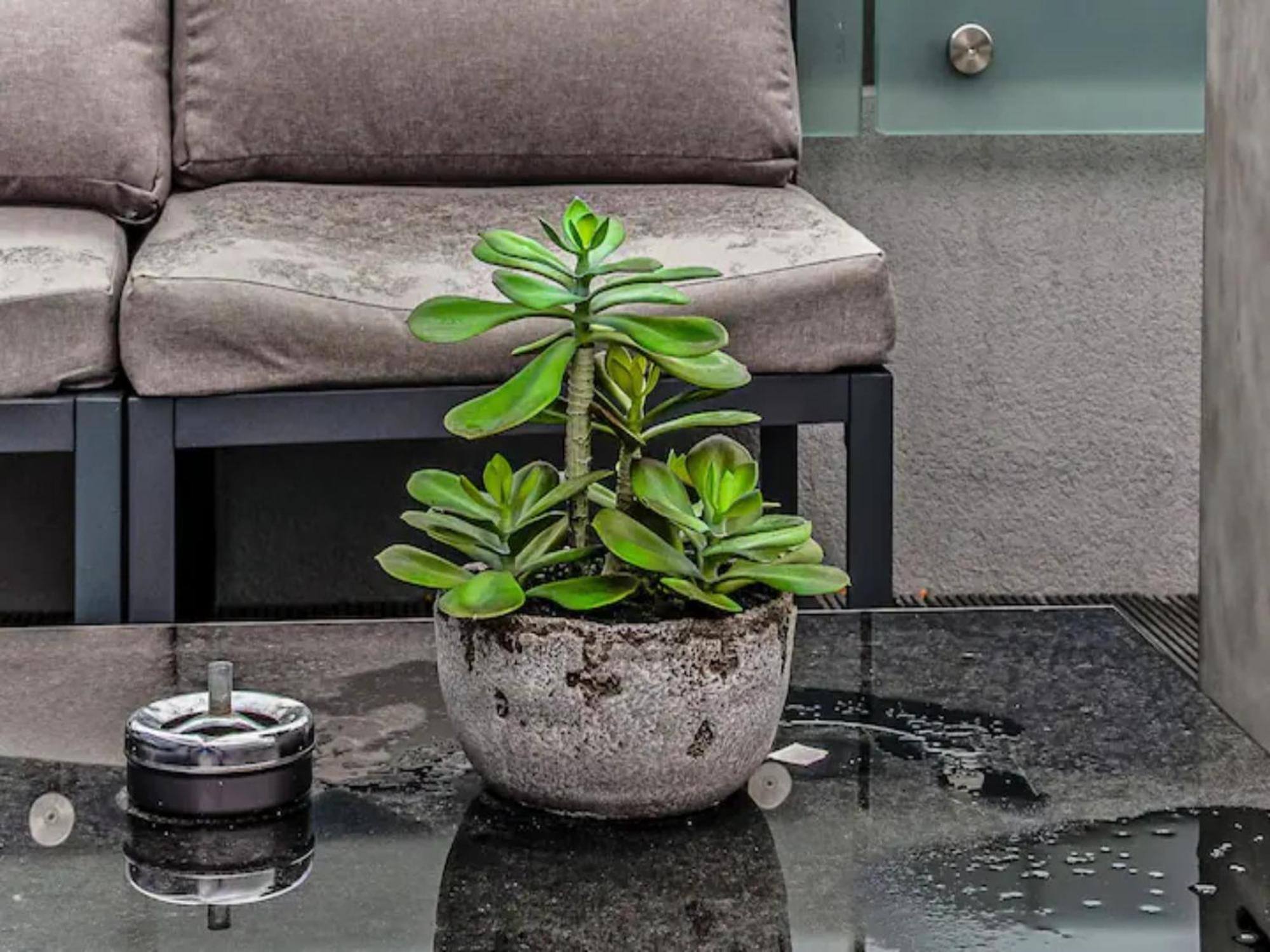 Apartment Pass The Keys Penthouse Oasis In Trendy Fulham *